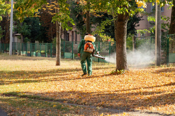 Best Local Pest Control Services  in Galion, OH