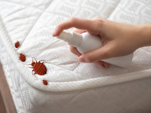 Best Bed Bug Extermination  in Galion, OH